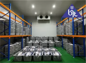 Rumus Perhitungan Cold Storage: Memahami Aspek Penting dalam Penyimpanan Produk